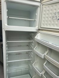 فستل • ١٦قدم • استعمال قليل