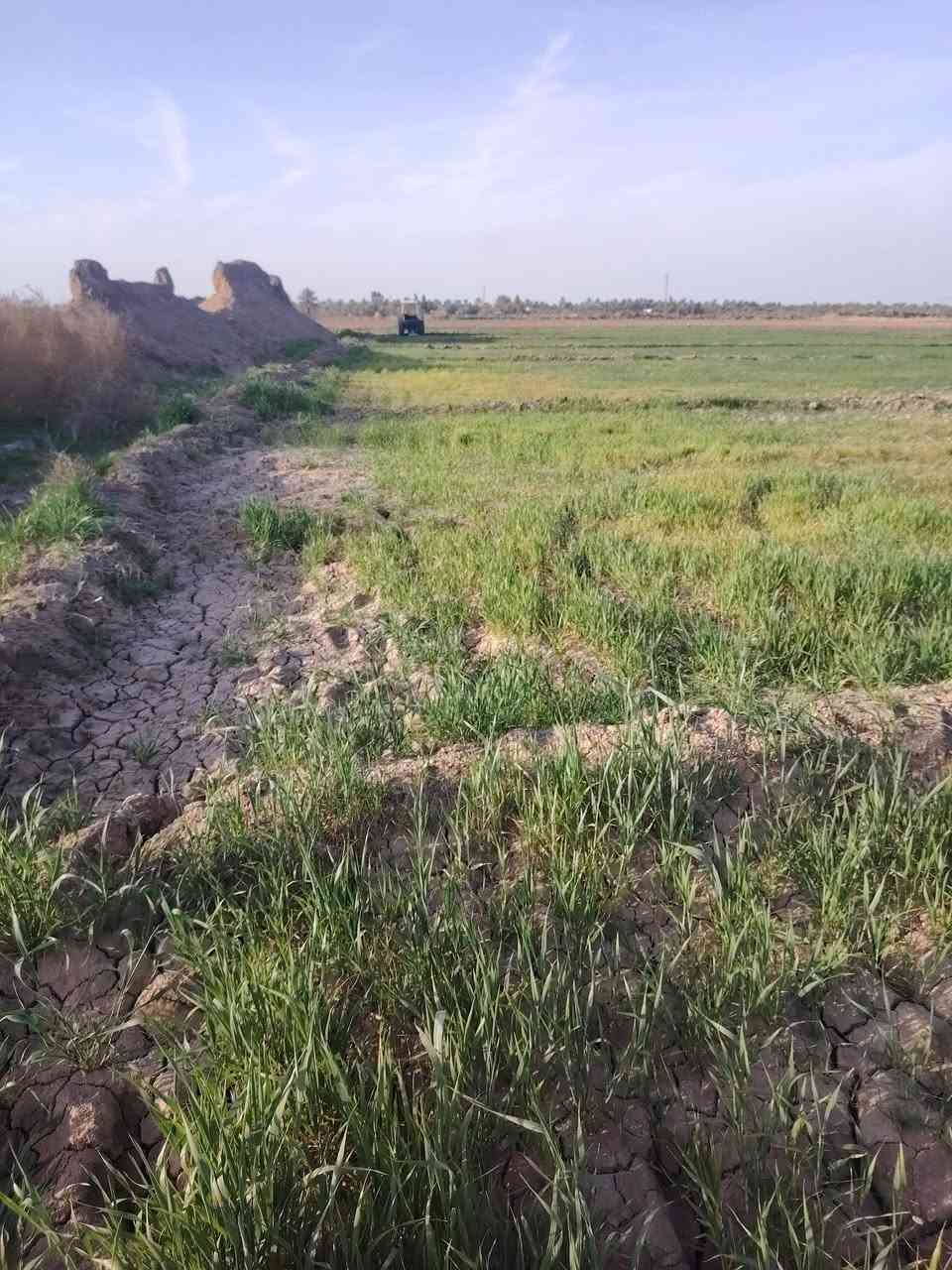 سلام عليكم حنطه ضمانه للبيع
تريده حشيش تريده حصاد ماكني بابل كفل ماي متوفر ٢٣ دونم ذابله كماوي توني


**إذا كنت صاحب هذا الإعلان وتريد حذفه لأي سبب، رجاءا أرسل رسالة إلى الدعم الفني**