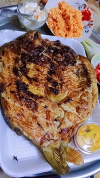 عرض اليوم سمكة كيلوونص ب13 للحجز 07718217865