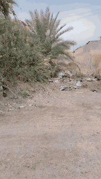 يا الله عرض اليوم مكتب ركن باريس للوساطة العقارية
قطعة أرض للبيع في سبع البور 
📐 المساحة: 100 متر  
📏 الأبعاد: الوجه 5 ×النزال 20
📍 الموقع: ال 4000 رقم العقار (5011) نافذة على شارع 40 مال البدالة  باقي التفاصيل داخل الفيديو 

💰 السعر: 17 ونص    
فرصة ممتازة و بسعر مناسب 

📞 للاتصال : 
*********** 
***********
***********
