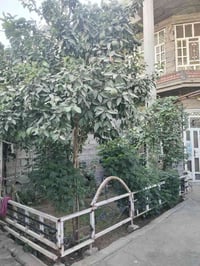 النور خلف الصناعة • ٢١٠م • سند طابو زراعي