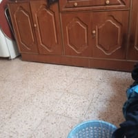 كنتور • معرض • الراشدية