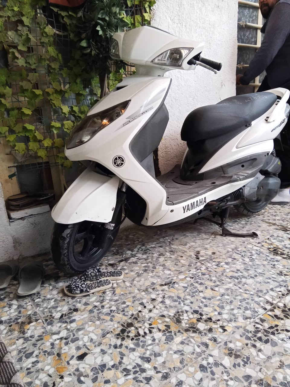 سلام عليكم دراجه سكنس ياباني مزوده تزويد ياباني فول اجايه من بره مزوده بوشه58 صالنصه اصليه كلجات رياضي اصلي دبلات خلفيه رياضي اصلي ملف جبير سلف رياضي اصلي قبق فلاوين اصلي دبل اشاره سكن عالي ناصي كيلو متر كله شغاله الدراجه كفاله عامه من الزلغ جديده بمعناه الكلمه شلعه تشك الكاع معدل 120 صارله خمس تيام نازله رمبه اوراق المغرض موجوده قفل ستين قفل جنطه قفل جونه دراجه كلش جديده بجيس عارضه بواحد وربع )1250) شراي بخدمته *********** مكاني بغداد الزعفرانيه
