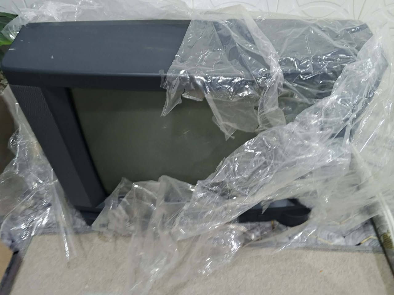 تلفزيون حجم ٢٥ كوري اصلي غير مستعمل ١٠٠ الف.    حجم ٢١ ٨٥ الف.   توصيل ٢٠الف


**إذا كنت صاحب هذا الإعلان وتريد حذفه لأي سبب، رجاءا أرسل رسالة إلى الدعم الفني**