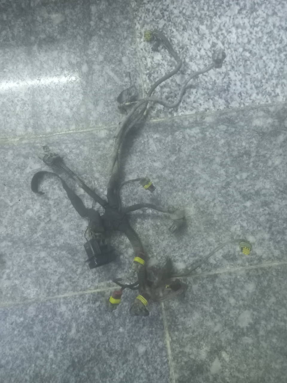 *********** تعال خاص لو واتساب
