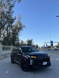 بالاسيد XRT • ٢٠٢٣ • مرقم اربيل