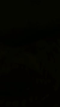 سكنس فحل للبيع دراجه ناعمه نكره سلف😍 محرك خير من الله 150cc شلعه ومعدل...