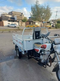 ستوتة 2023 • أوراق كاملة • كمرك كامل