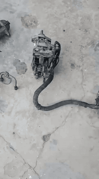 متاح
‏‪0770 736 3597‬‏
