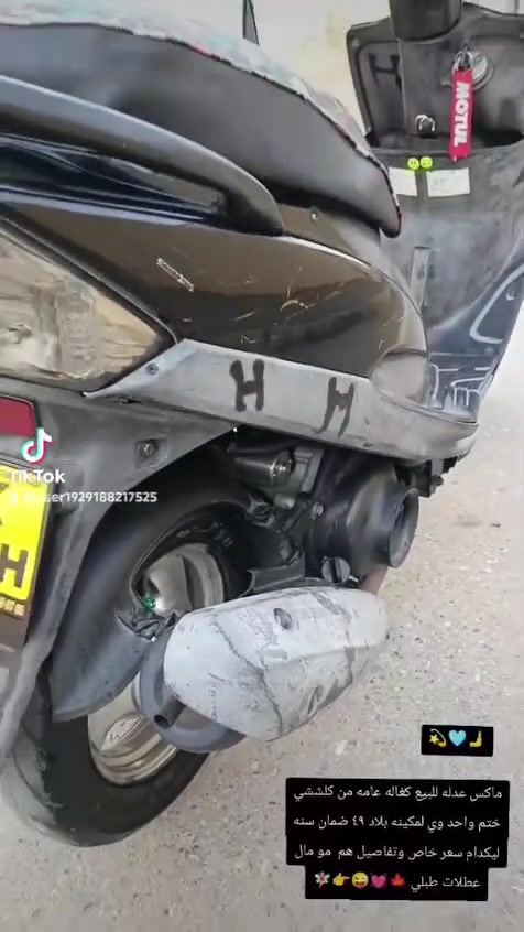 للبيعع (وذا اكو فله مراوس اروس.


**إذا كنت صاحب هذا الإعلان وتريد حذفه لأي سبب، رجاءا أرسل رسالة إلى الدعم الفني**