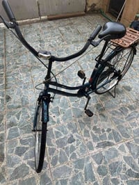 باسكل • لون مميز • للبيع