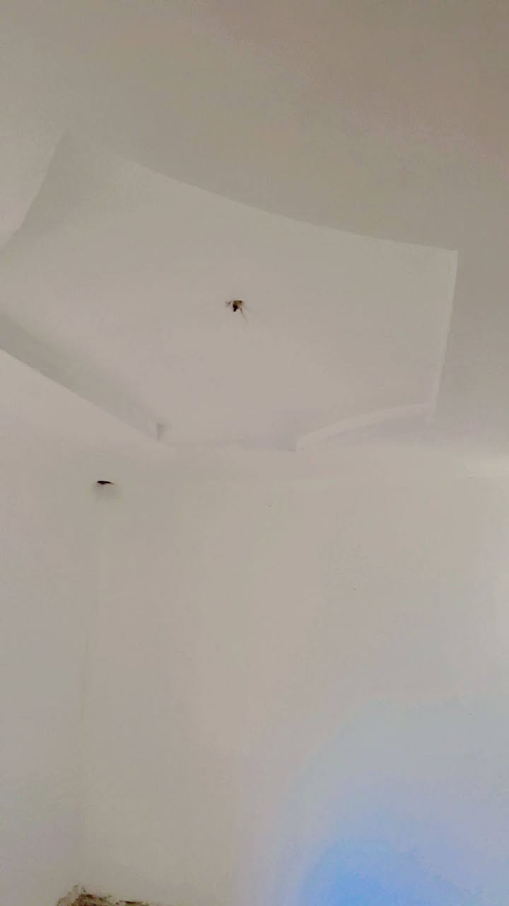 السلام عليكم  للبيع دار في   قضاء العلم /الحي العسكري /قرب قسم تربيه العلم مجاور مجمع السامر السكني طابو صرف تحويل مباشر  المساحة الدار 300 متر نوع البناء طابوق التفاصيل الدار 2 غرف نوم صاله وستقبال مطبخ مجموعات صحيات كراج سياره و سقيفه و حديقة خارجيه واصل ماء و كهرباء و إنترنت كافه الخدمات متوفره بيع مستعجل جميع خدمات ما شاء الله تبارك الرحمن من مدارس سوك للاستفسار على الرقم وحياكم الله الرقم بس واتساب فقط ***********
