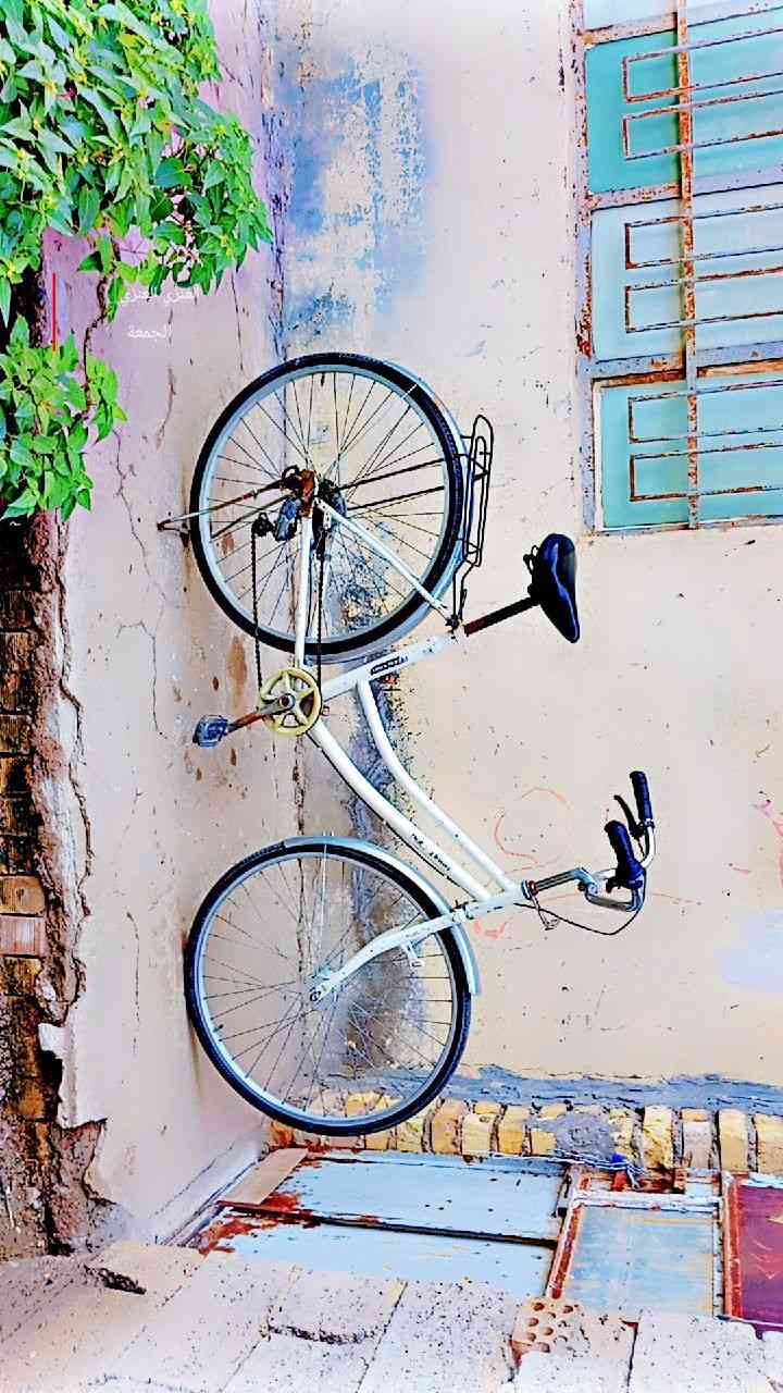 السلام عليكم 
بايسكل للبيع 
الحجم 27 اللون ابيض بداله وحساس ريدله واير بداله وكلوب حساس
وبريك امامي
السعر 65 
العنوان بعقوبة التحرير 
***********
