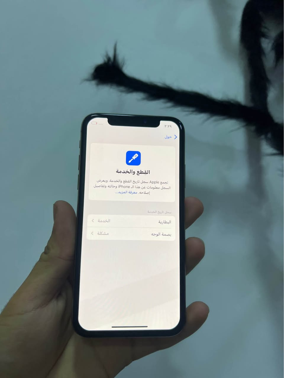 ايفون اكس اس ذاكره 64 بطاريه 76. ممبدل ايشي فقط ضهرة مفطور  وعندي ويا ضهر اصلي وكاله جهاز سيمكرت تصال تكنيك كامرات كله شغال بغداد, العراق


**إذا كنت صاحب هذا الإعلان وتريد حذفه لأي سبب، رجاءا أرسل رسالة إلى الدعم الفني**