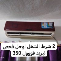 07823604558