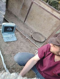 🔹 عيادة قدس البيطرية 🔹 نعلن عن توفر أحدث اللقاحات والخدمات البيطرية ال...