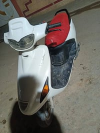 فراشه فحل • مكينه ما تبخر • نجف حي الغري