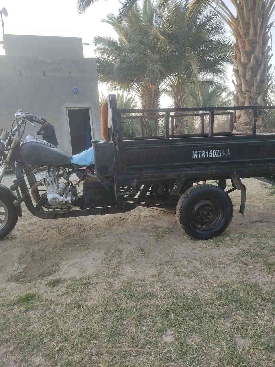 سلام عليكم ستوته للبيع موديل 14مكفوله شاصي كهربائيات شغاله مكينه 2023 اوراق أصولي سعر واحد ونص وبيها مجال قليل مكاني سماوه رميثه ول شراي يجيني خاص


**إذا كنت صاحب هذا الإعلان وتريد حذفه لأي سبب، رجاءا أرسل رسالة إلى الدعم الفني**