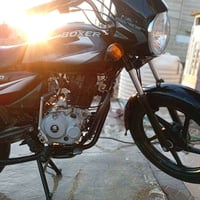 بوکسر ٢٠٢٠ • أوراق أصلية • بعقوبة