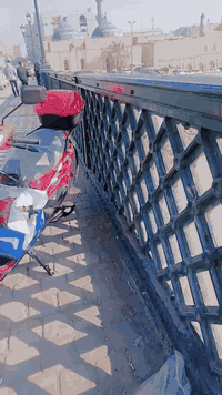 السلام عليكم
اخوان دراجه للبيع قبل شهر منزله الدراجه نضيف شرايع تعال خاص ودلل السعر خاص


**إذا كنت صاحب هذا الإعلان وتريد حذفه لأي سبب، رجاءا أرسل رسالة إلى الدعم الفني**