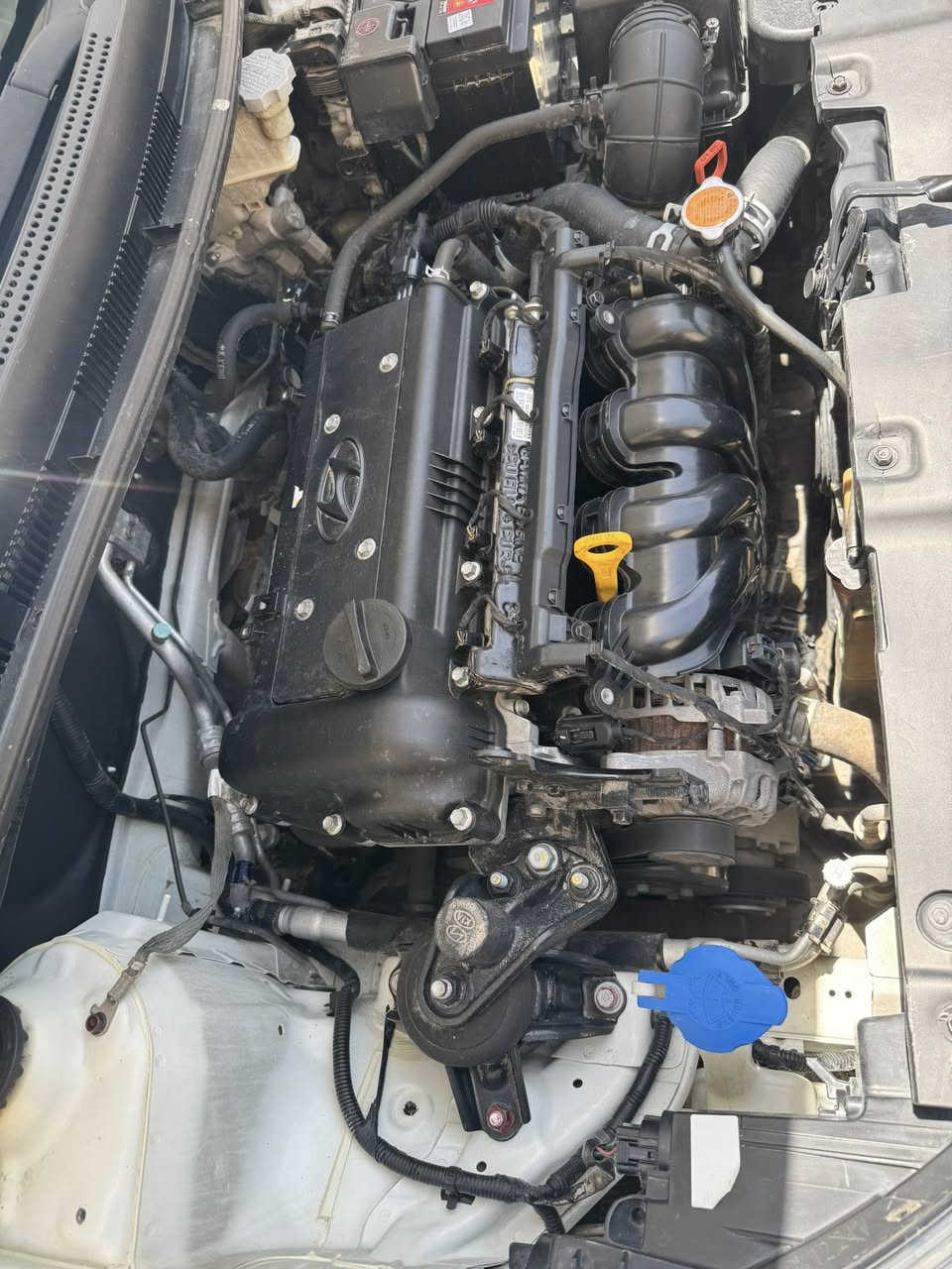 السلام عليكم اكسنت2016 خليجي 
ماشيه 102 
صدر امامي جديد 
مكينه خير من الله 
تخم بلكات مجاول جديد
ولف حماوة جديد
تبريد ثلج 
شخوط بسيطة بالدعاميات 
السعر 118$
للاستفسار 
***********
