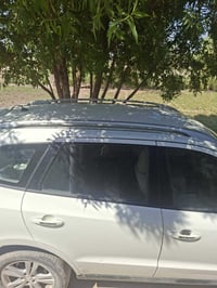 سنتافيا • بغداد صدر اليوسفيه • خليجية