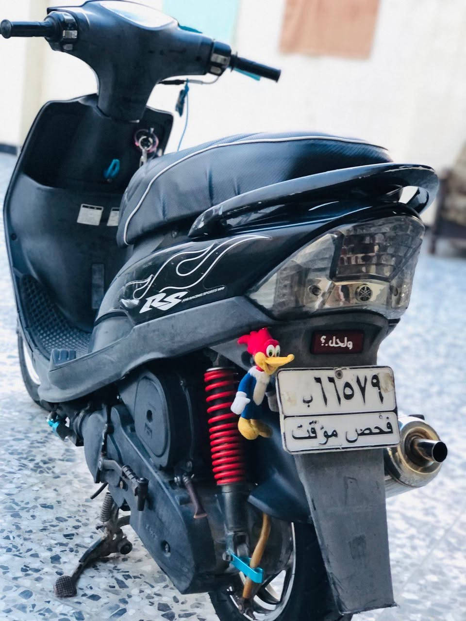 مراوس بسكنس جبلي لو جيت ار


**إذا كنت صاحب هذا الإعلان وتريد حذفه لأي سبب، رجاءا أرسل رسالة إلى الدعم الفني**