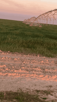 السلام عليكم ارض زراعيه للبيع جزيرت مكيشيفه غطاسات ٢ بحيرات عدد ٢ كهرباء واصله استفسار ***********
