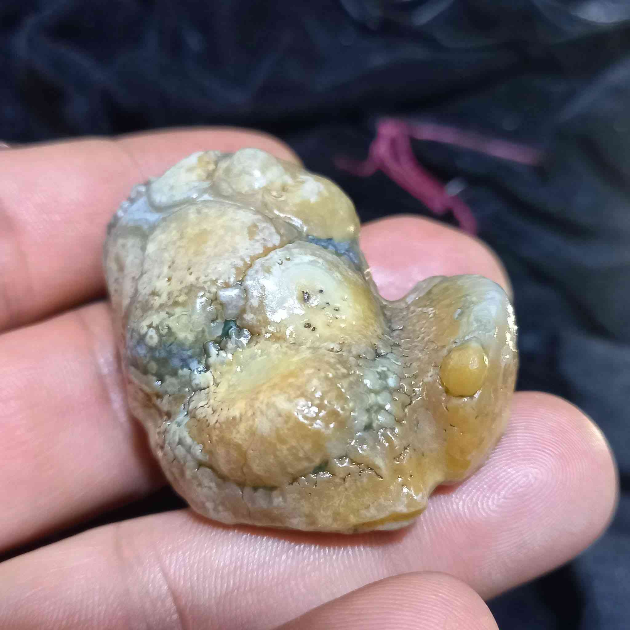 🐉 حجرة زوعة الحية الاصلي قطعة خامة ممجروخة خشنة وقديمة حيل وهاي صورها وين ما تردون شوفوها العنوان بغداد الأمين يوجد خدمة توصيل كافة المحافظات اي أستفسار أو سؤال واتساب او الاتصال بالرقم 
***********
