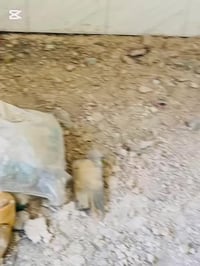 ٠٧٨٣٦٤٦٦٢٠٠