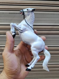 للبيع • ناصريه • مركز بلاستك