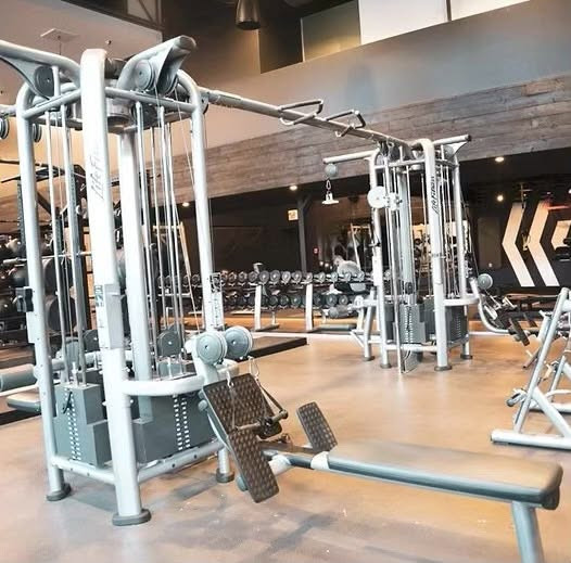 للبيع
Jungle life fitness signature 🇺🇸
٨ محطه حاله جيده جدا
للتواصل 01095558458


**إذا كنت صاحب هذا الإعلان وتريد حذفه لأي سبب، رجاءا أرسل رسالة إلى الدعم الفني**