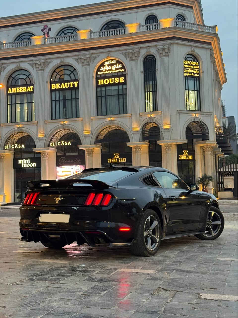 السلام عليكم
موستنك 2015 كلين تايتل رقم اربيل بأسمي لون اسود قماره حديد
فول مواصفات مال سته سلندر 
السياره بوضع الشركة ماشيه 80 الف حقيقي
سبير الشركه مانازل و بصمات عدد اثنين و حته كتلوكاتهه وياهه
حداديه و ادامه كاملة مسويلهه و تبريد ثلج 
مبدل بيهه جاملغ فقط اثر طخه كلش خفيفه و الجاملغ البلادي موجود 
وياهه سبايدرات عدد اثنين و لحيتهه البلاديه هم وياهه و سكوب جامه خلفي

السعر 154 ورقه
المكان بغداد السيدية
0773 832 5754 بغداد, العراق
