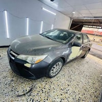 صبغ سيارات • بوليش • جلي لايت