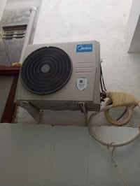 سبلت • ٢ طن • للبيع