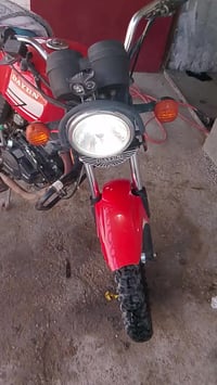 دايون • اصولي