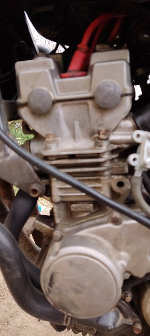 عندي 2 دراجات اريدهن مراوس بوحده مرقم ونضيف شعندك نزل
تفاصيل كامله ☟
اول وحده دايون خفاش موديل 22 وراق اصوليه وكمرك مدفوع
مكفوله
وعندي
ال2
هوندا هورنت 250
محرك ممدود عليه سبانه شغاله
كهوبائيات كلها شغاله
بس كابريترات عوزهن صيانه تعبانات
ةراق اصولي
ثنينهن اريد اراوسهن بدراجه تكون زينه ومرتبه
***********
