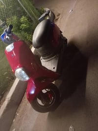 بوشه 55 • شغال • سلف مرات