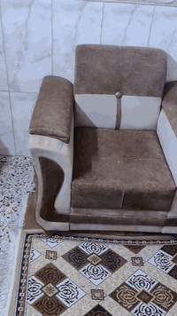 تخم 10مقاعد الشعب 07708846305