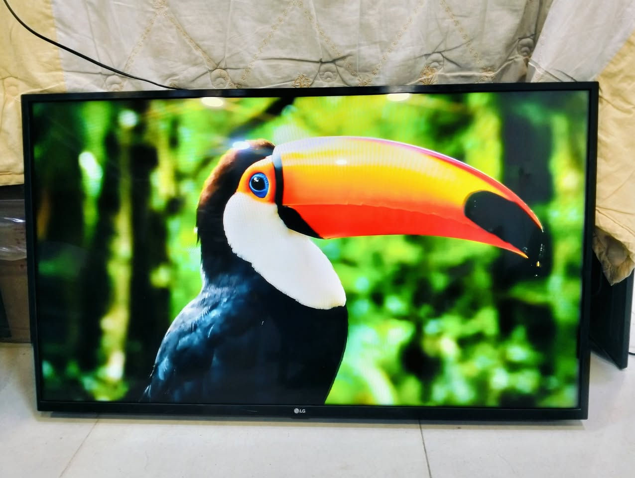 شاشه حجم 43 الجي اصلي مع ريمونت ناطق وموس فلو موصفات مع ضمان كفاله


**إذا كنت صاحب هذا الإعلان وتريد حذفه لأي سبب، رجاءا أرسل رسالة إلى الدعم الفني**