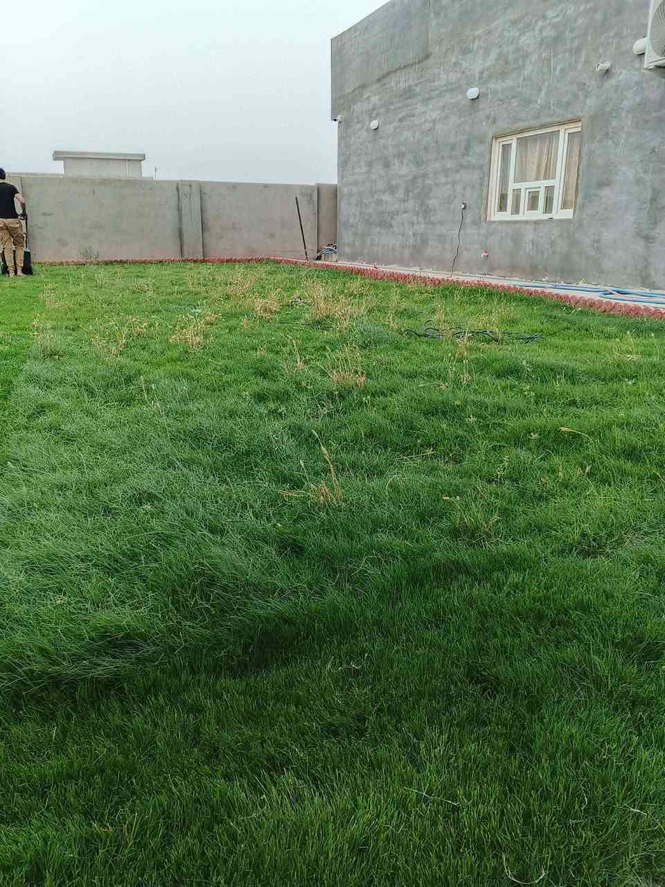 ماعليك فقط اتصل وتدلل
***********
