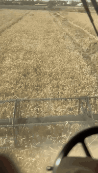 للبيع حاصده هيدرو ٢٠١٣ نظيفه  جدا ٥٠ ٥٠ فول مواصفات مشتغله ٣٠٠٠ او اقل مكفوله
***********  مكان ديالى
