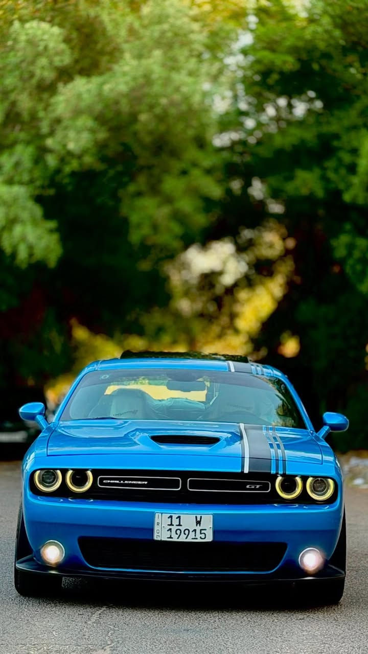 جالنجر 2019 GT Plus Special Edition جي تي بلص
وكالة ليث العبيدي 
رقمه مميز 19915 بأسمي تحويل ثاني يوم
بيه تكحيل كارت وره التاير الامامي من جوه فقط
وصبغ بالداعاميه الاماميه 
كفاله من الحادث والضربه والتبديل والفتح
فول مواصفات للاخير
ماشيه 69 ميل
كير ومحرك بلاديات ممفتوحات
فتحة سقف
تشغيل عن بعد
بصمة ابواب 
كشنات جلد
كشنات كهرباء
شاشه حبيره كار بلي
فول تحكم استيرن
شفتات استيرن
كامرا خلفيه
حساسات
شاشة اعطال وكيجات
دبل دمام خلفي بلادي هارمن كاردن
السياره جديده بمعنى الكلمه ومصروف عليه هواي 
جاهزه كير ومحرك وحداديه وتبريد وتدفئه
ناصبه واحله من الصور ولونه مميز 
السعر 215 وبيه مجال

***********
