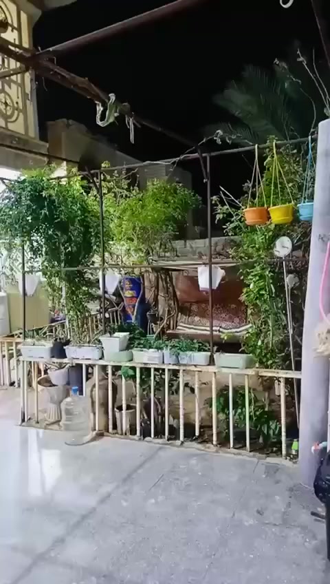 دار سكن طابقين مساحه 200م منطقة الحي العسكري يحتوي علئ ستت غرف نوم غرفتين في الطابق الاول واربع غرف في الطابق الثاني مع صالتين في الطابق الاول والثاني واستقبال ومطبخ وصحيات وحديقه وطارمه البناء من الطابوق والسقف صب كونكريت الارضيه كرانيت سنة البناء 2015 السند باسمي  موبايل 📱 ***********
***********
