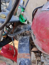 ستونة • بدون اوراق • ميسان