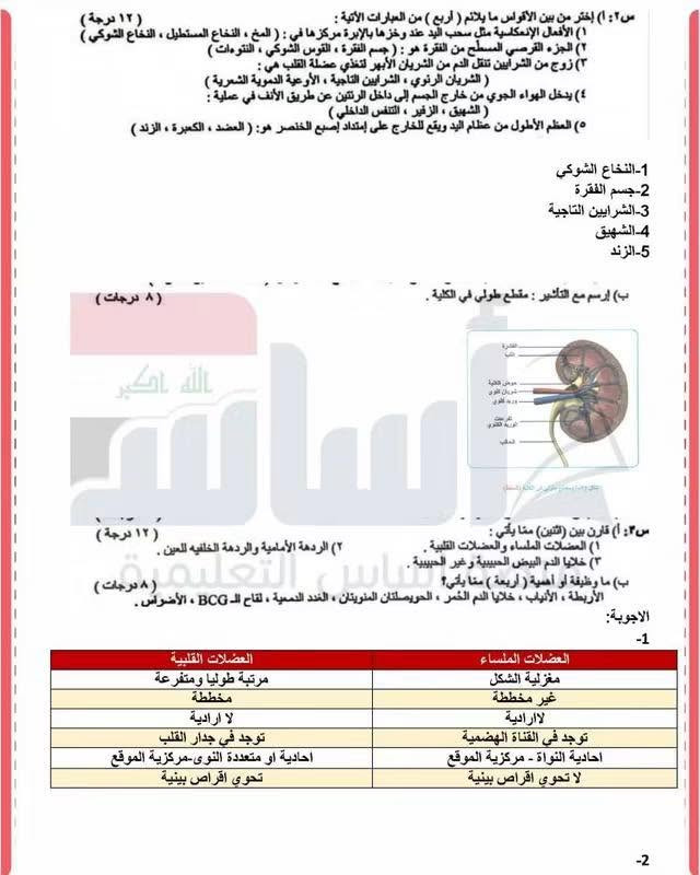 طلاب هاي ملخصات تفيدكم اكيد بالعطلة مراجعين هسه تكدرون تشوفون نفسكم مراجعة بيهن تمتحنون


**إذا كنت صاحب هذا الإعلان وتريد حذفه لأي سبب، رجاءا أرسل رسالة إلى الدعم الفني**