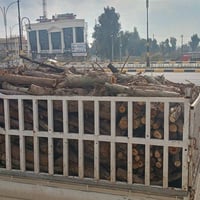 خشب • للمطاعم • مقطع خشب