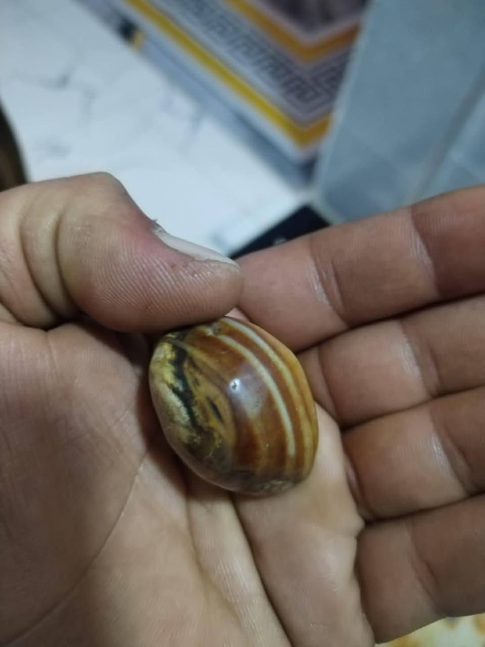 وعلي كلش قديمه


**إذا كنت صاحب هذا الإعلان وتريد حذفه لأي سبب، رجاءا أرسل رسالة إلى الدعم الفني**