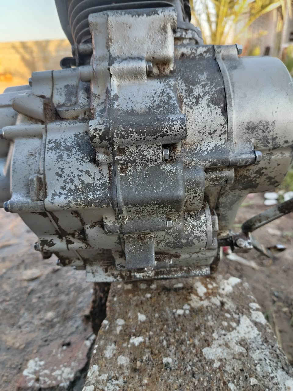 السلام عليكم
شباب محرك نامه متياز للبيع
من فوك هله هله من جوه يعلم
موديل 20 مشدوده ب 22 وهسه ردت ابيعه
راكضه وي خيل الحمزه
مفتوحه مره وحده
عليه شلعه وفصله تخبل
مكاني ميسان ع طريق الميمونه
قيم وخذ ب اليرضي الله
*********** واتساب
خاص موجود
