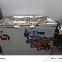 مجمده • شغاله • بيها مجال